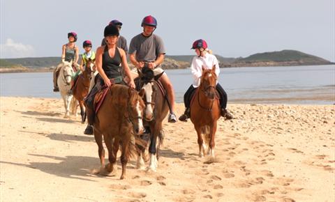 St Mary's Riding Centre